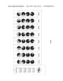 Apparatus and method for distributing a plurality of fluid flows through a plurality of chambers, particularly for carrying out adsorption processes diagram and image