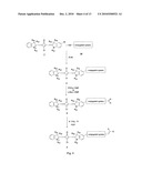 SQUARYLIUM DYES INCLUDING AN ANCHORING GROUP diagram and image