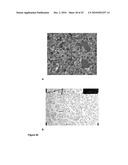 MONODISPERSE SUBMICRON POLYMER PARTICLES diagram and image