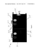 SYSTEM, METHOD AND COMPUTER-ACCESSIBLE MEDIUM FOR PROVIDING BREATH-HOLD MULTI-ECHO FAST SPIN-ECHO PULSE SEQUENCE FOR ACCURATE R2 MEASUREMENT diagram and image