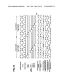 LIQUID CRYSTAL DISPLAY PANEL AND LIQUID CRYSTAL DISPLAY APPARATUS diagram and image