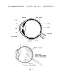 METHOD AND SYSTEM FOR RETINAL HEALTH MANAGEMENT diagram and image