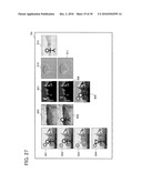 Image Reproducing Apparatus And Imaging Apparatus diagram and image