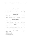 Self-Routed Layer 4 Packet Network System and Method diagram and image