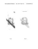 METHOD FOR PROCESSING OPTICAL CHARACTER RECOGNITION (OCR) DATA, WHEREIN THE OUTPUT COMPRISES VISUALLY IMPAIRED CHARACTER IMAGES diagram and image