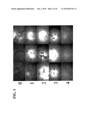 Antifungal Polypeptides diagram and image