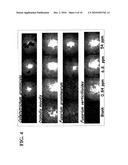 Antifungal Polypeptides diagram and image