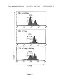 Antibodies Against Human CD39 and Use Thereof for Inhibiting T Regulatory Cells Activity diagram and image