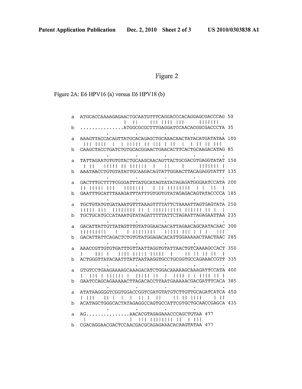 VECTORS FOR MULTIPLE GENE EXPRESSION - diagram, schematic, and image 03