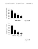 ADJUVANT diagram and image