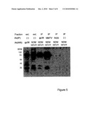 ADJUVANT diagram and image