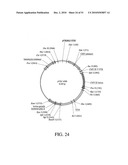 DEVELOPMENT OF A PREVENTIVE VACCINE FOR FILOVIRUS INFECTION IN PRIMATES diagram and image