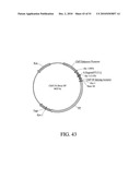 DEVELOPMENT OF A PREVENTIVE VACCINE FOR FILOVIRUS INFECTION IN PRIMATES diagram and image