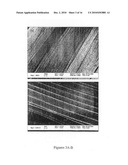 Therapeutic Electrospun Fiber Compositions diagram and image