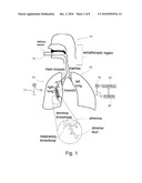 ENHANCED DRUG DELIVERY WITH ORIENTABLE PARTICLES diagram and image