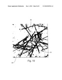 ENHANCED DRUG DELIVERY WITH ORIENTABLE PARTICLES diagram and image