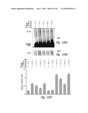 COMPOSITIONS AND METHODS FOR TREATING ASTHMA AND OTHER LUNG DISORDERS diagram and image