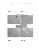 METHODS AND COMPOSITIONS FOR NERVE REGENERATION diagram and image