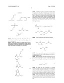 PROTON CONDUCTING MEMBRANES FOR FUEL CELLS HAVING A PROTON GRADIENT AND METHODS FOR PREPARING SAID MEMBRANES diagram and image