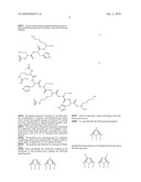 PROTON CONDUCTING MEMBRANES FOR FUEL CELLS HAVING A PROTON GRADIENT AND METHODS FOR PREPARING SAID MEMBRANES diagram and image