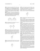 PROTON CONDUCTING MEMBRANES FOR FUEL CELLS HAVING A PROTON GRADIENT AND METHODS FOR PREPARING SAID MEMBRANES diagram and image