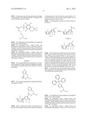 PROTON CONDUCTING MEMBRANES FOR FUEL CELLS HAVING A PROTON GRADIENT AND METHODS FOR PREPARING SAID MEMBRANES diagram and image