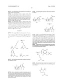 PROTON CONDUCTING MEMBRANES FOR FUEL CELLS HAVING A PROTON GRADIENT AND METHODS FOR PREPARING SAID MEMBRANES diagram and image