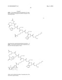 PROTON CONDUCTING MEMBRANES FOR FUEL CELLS HAVING A PROTON GRADIENT AND METHODS FOR PREPARING SAID MEMBRANES diagram and image