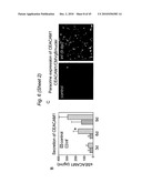 BIOMARKERS FOR PRENATAL DIAGNOSIS OF CONGENITAL CYTOMEGALOVIRUS diagram and image