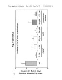 BIOMARKERS FOR PRENATAL DIAGNOSIS OF CONGENITAL CYTOMEGALOVIRUS diagram and image