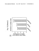 BIOMARKERS FOR PRENATAL DIAGNOSIS OF CONGENITAL CYTOMEGALOVIRUS diagram and image