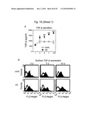 BIOMARKERS FOR PRENATAL DIAGNOSIS OF CONGENITAL CYTOMEGALOVIRUS diagram and image