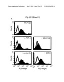 BIOMARKERS FOR PRENATAL DIAGNOSIS OF CONGENITAL CYTOMEGALOVIRUS diagram and image