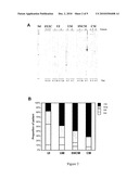 USE OF THE ALPHA CHAIN OF BRAIN SPECTRIN AND FRAGMENTS THEREOF, FOR DIAGNOSING CEREBRAL DISEASES diagram and image