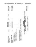 GENETICALLY MODIFIED BIOLOGICAL CELLS diagram and image