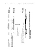 GENETICALLY MODIFIED BIOLOGICAL CELLS diagram and image