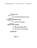 GENETICALLY MODIFIED BIOLOGICAL CELLS diagram and image