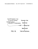 GENETICALLY MODIFIED BIOLOGICAL CELLS diagram and image