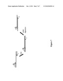 Oligonucleotide Paints diagram and image