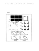 FUNCTIONAL ASSAY FOR INDENTIFICATION OF LOSS-OF-FUNCTION MUTATIONS IN GENES diagram and image