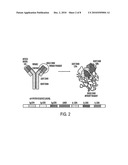 POLYNUCLEOTIDE BACKBONES FOR COMPLEXING PROTEINS diagram and image