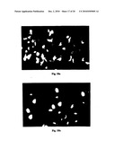 High-throughput cell transfection device and methods of using thereof diagram and image