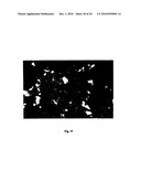 High-throughput cell transfection device and methods of using thereof diagram and image