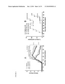 METHODS OF INHIBITING CALCINEURIN WITH APOE ANALOGS diagram and image