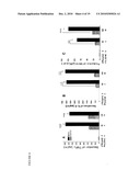 METHODS OF INHIBITING CALCINEURIN WITH APOE ANALOGS diagram and image