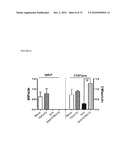 METHODS OF INHIBITING CALCINEURIN WITH APOE ANALOGS diagram and image