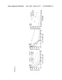 METHODS OF INHIBITING CALCINEURIN WITH APOE ANALOGS diagram and image