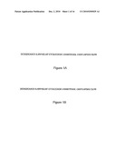 Paralytic Peptide for Use in Neuromuscular Therapy diagram and image