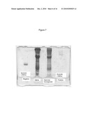 Paralytic Peptide for Use in Neuromuscular Therapy diagram and image