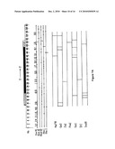 Production of collagen in the milk of transgenic mammals diagram and image